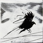 Cold Landing 6 x 6
