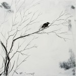 My December Walk 10 x 10